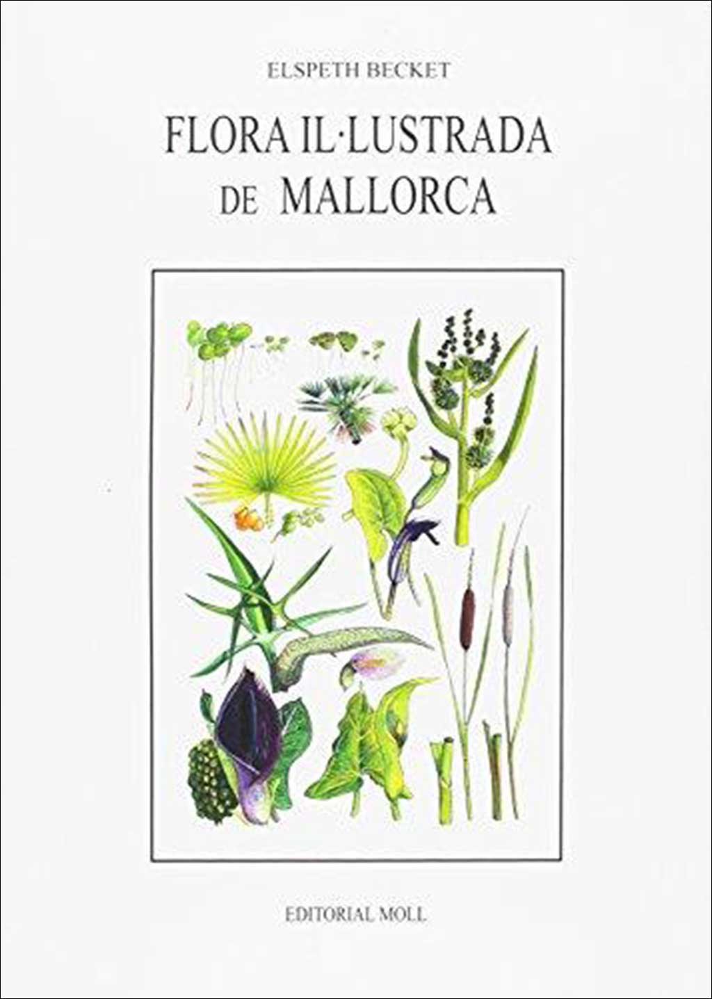 FLORA IL·LUSTRADA DE MALLORCA 1