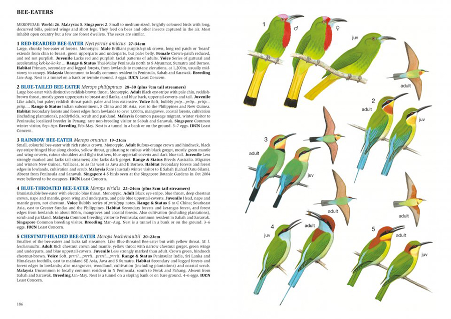 A FIELD GUIDE TO THE BIRDS OF MALAYSIA &AMP; SINGAPORE 3