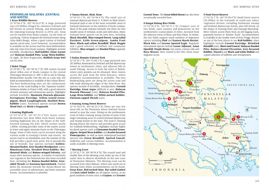 A FIELD GUIDE TO THE BIRDS OF MALAYSIA &AMP; SINGAPORE 4