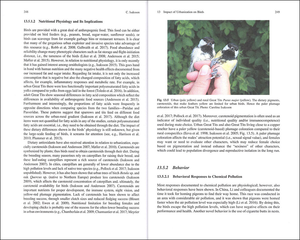 BIRD SPECIES. HOW THEY ARISE, MODIFY AND VANISH 4