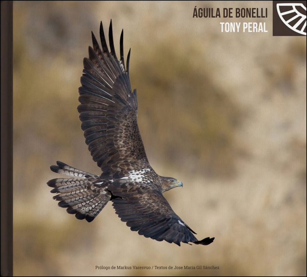 EL ÁGUILA DE BONELLI 1