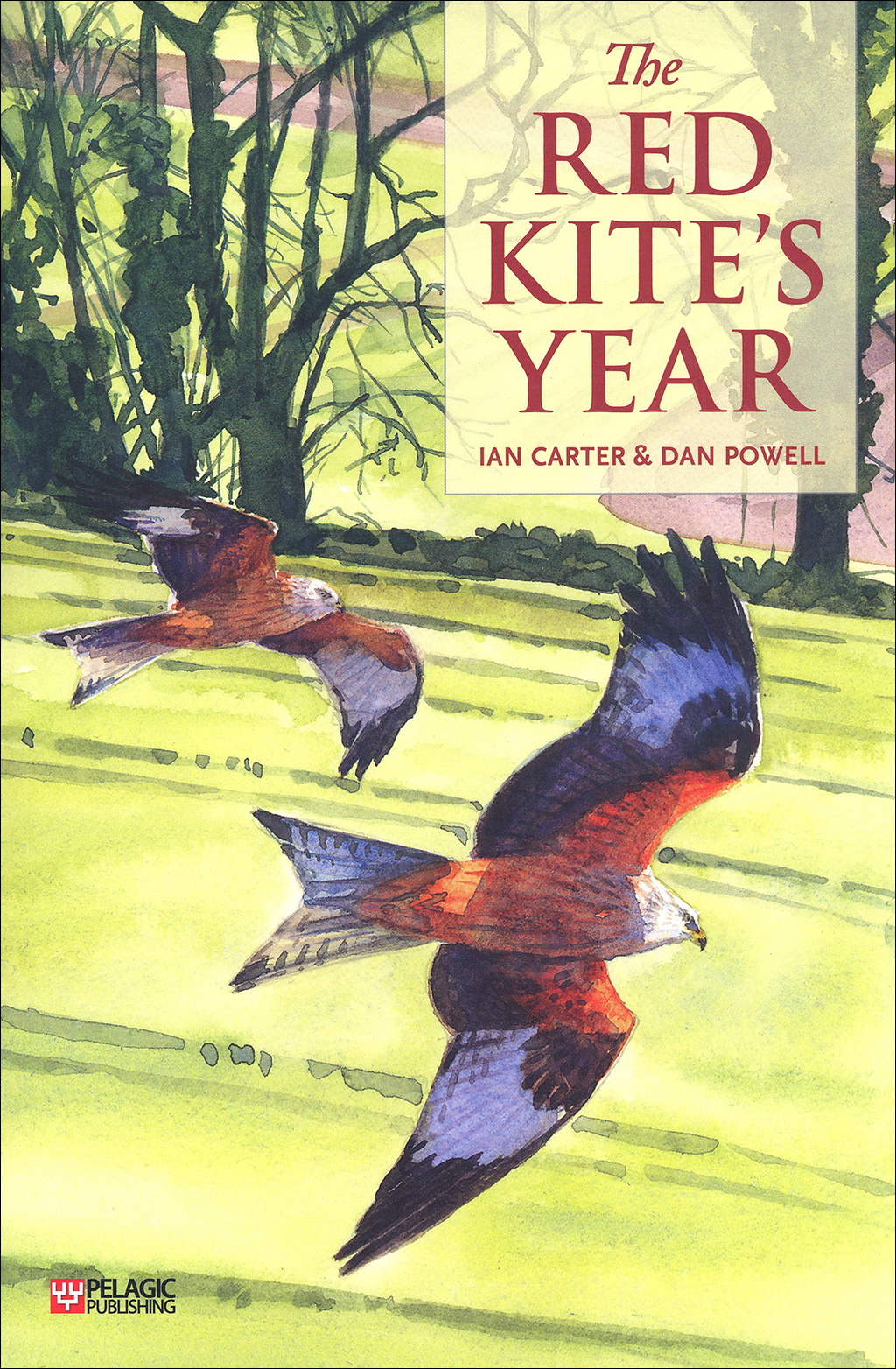 THE RED KITE'S YEAR 1
