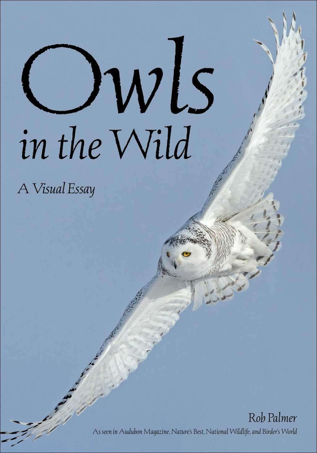 OWLS IN THE WILD 1