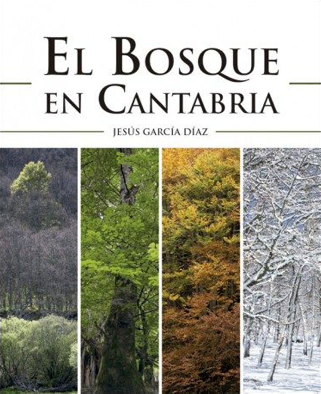 EL BOSQUE EN CANTABRIA 1