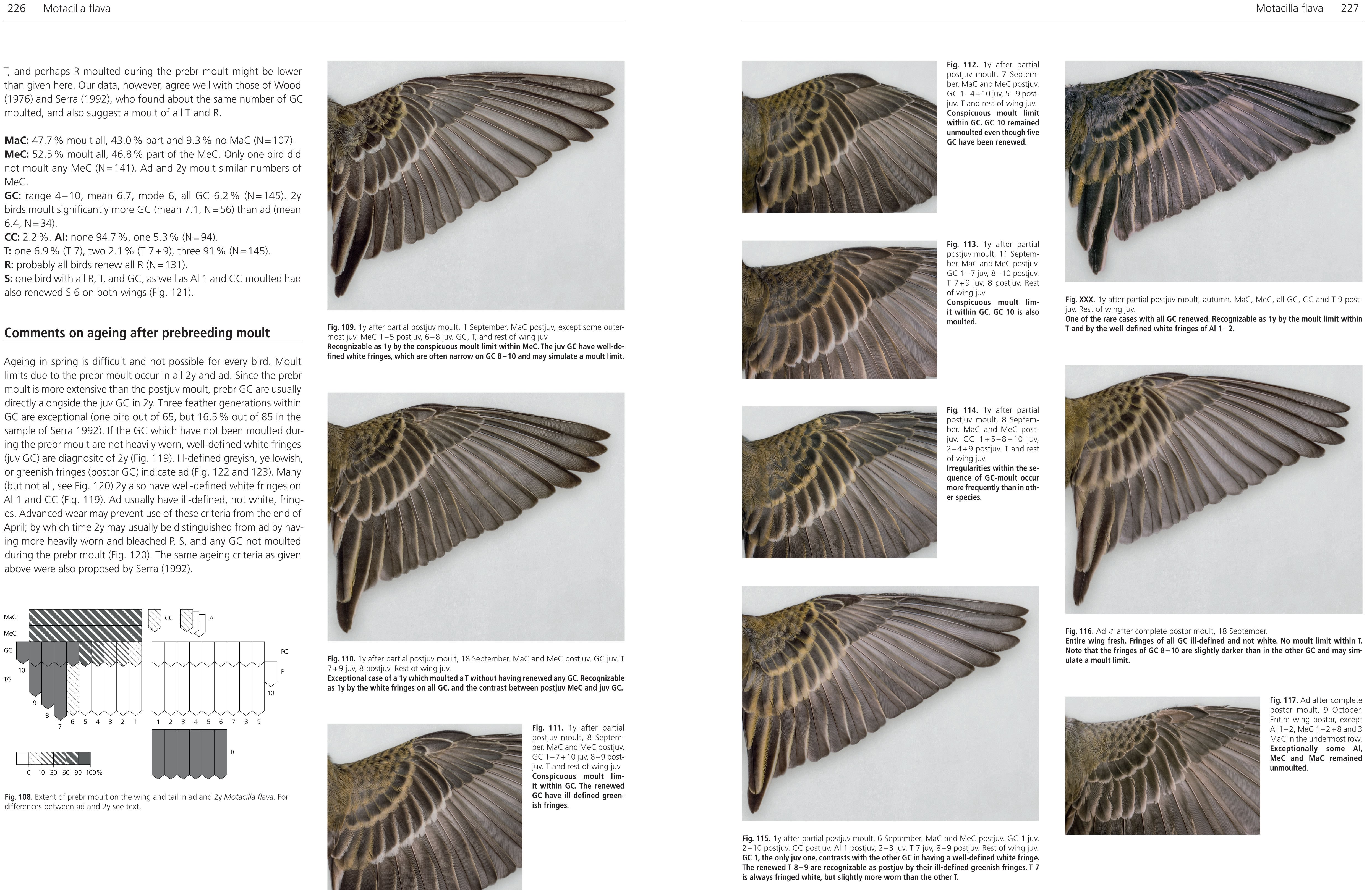 MOULT AND AGEING OF EUROPEAN PASSERINES 2