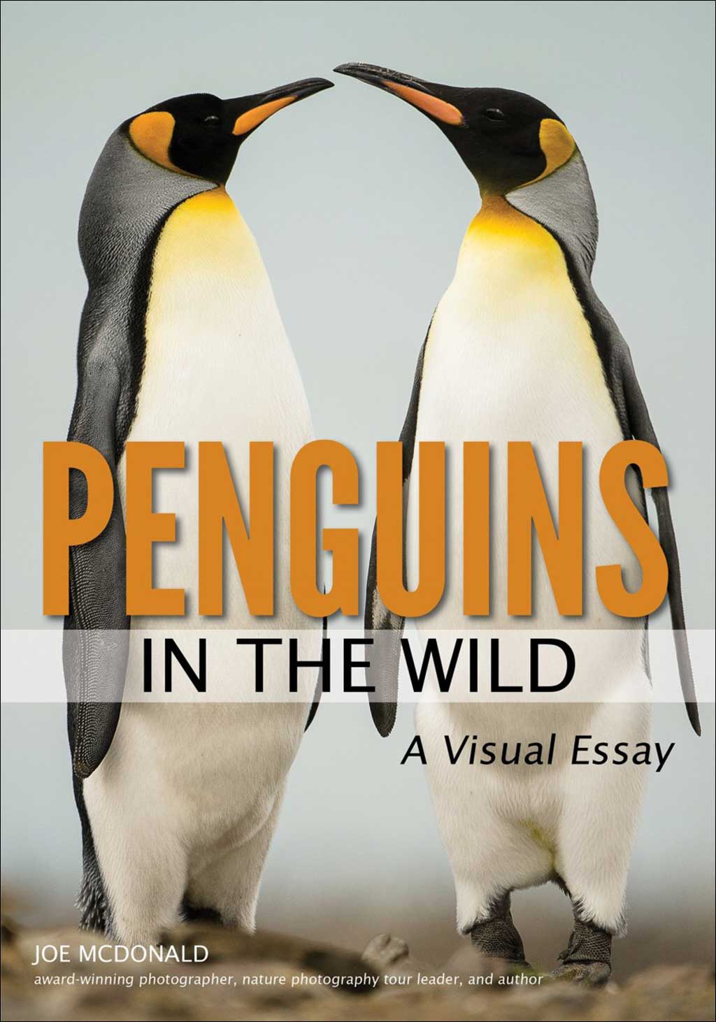 PENGUINS IN THE WILD. A VISUAL ESSAY 1