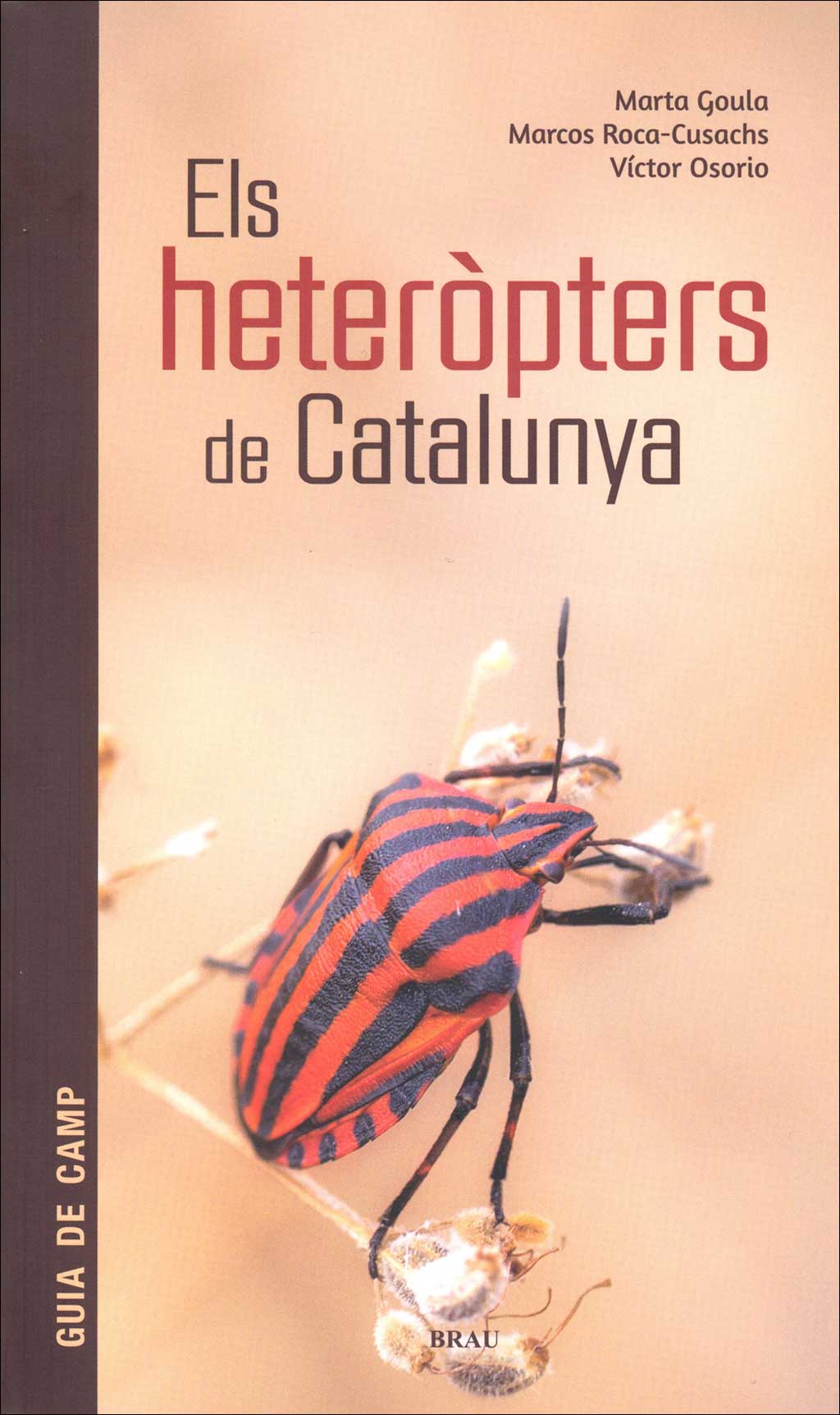 ELS HETERÒPTERS DE CATALUNYA 1