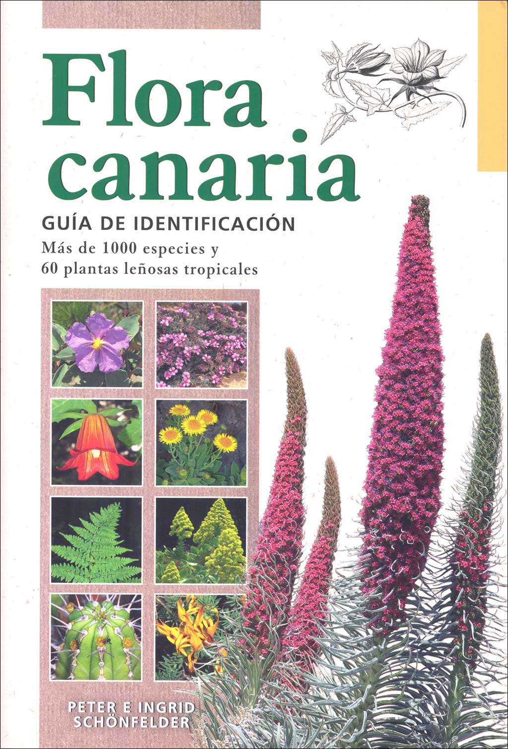 FLORA CANARIA. GUÍA DE IDENTIFICACIÓN 1