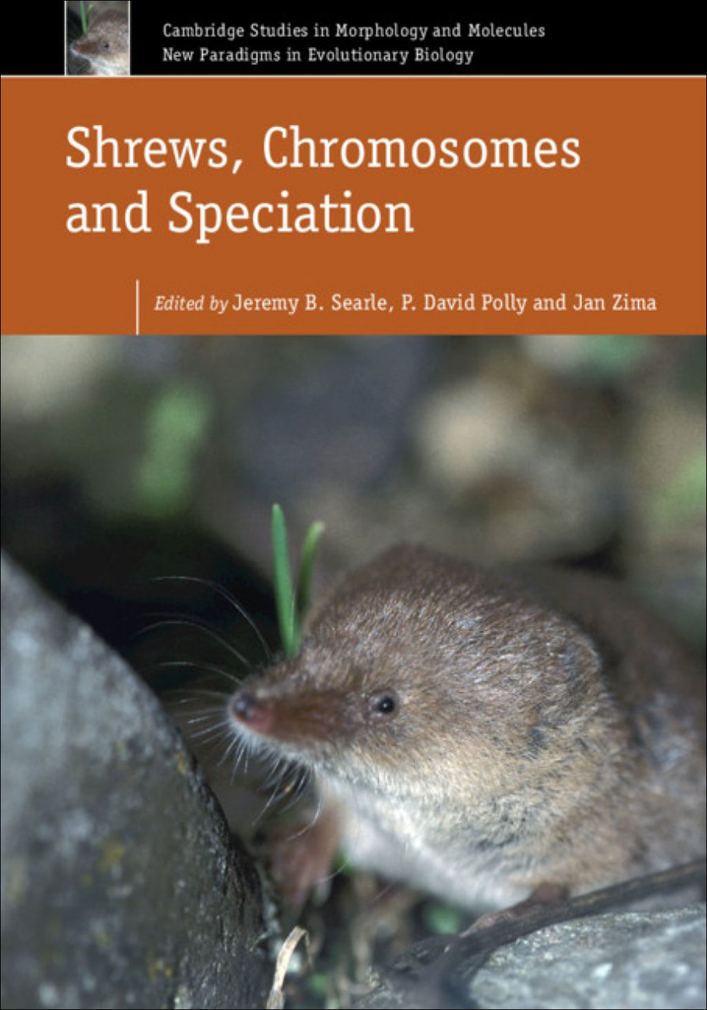 SHREWS, CHROMOSOMES AND SPECIATION 1