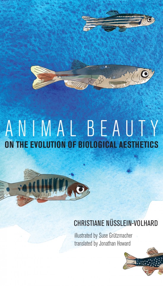 ANIMAL BEAUTY . ON THE EVOLUTION OF BIOLOGICAL AESTHETICS 1