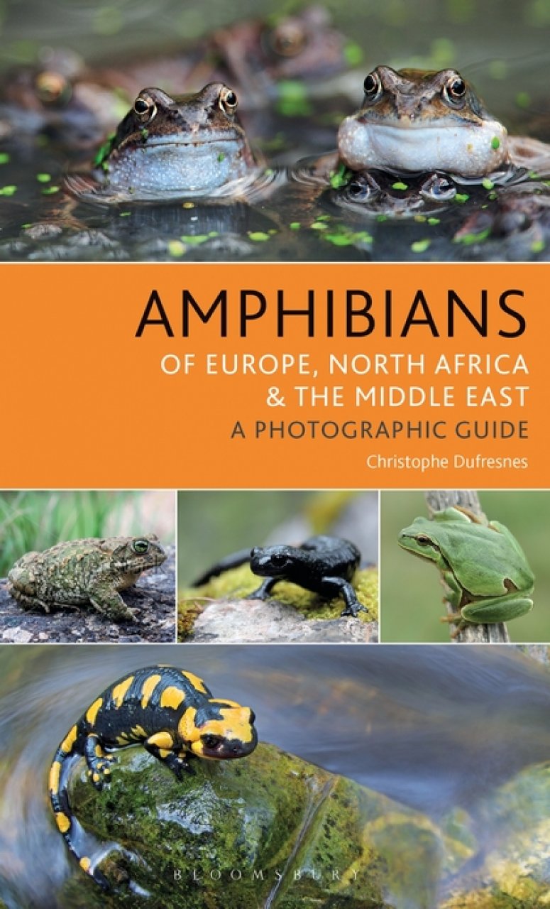 AMPHIBIANS OF EUROPE, NORTH AFRICA &AMP; THE MIDDLE EAST. A PHOTOGRAPHIC GUIDE 1