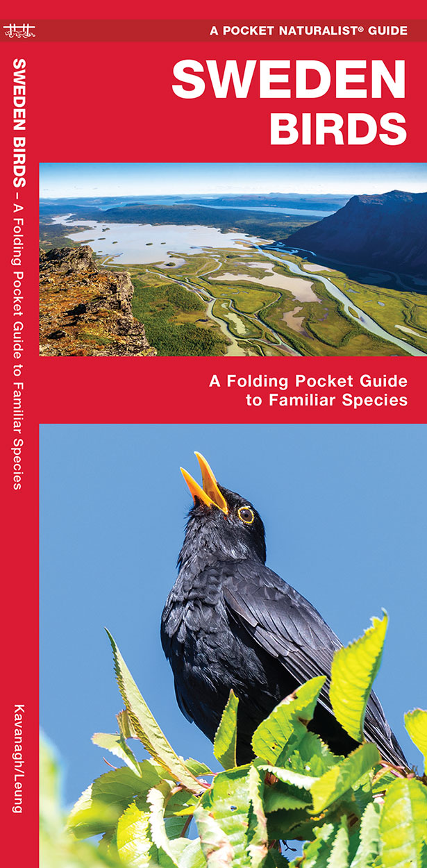 SWEDEN BIRDS. A FOLDING POCKET GUIDE TO FAMILIAR SPECIES 1