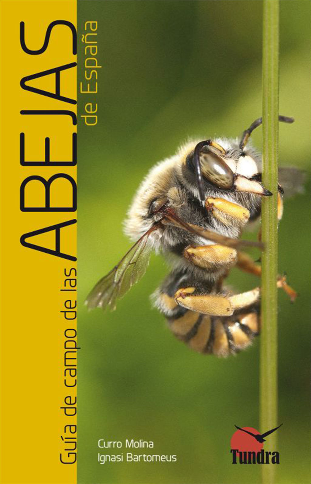 GUÍA DE CAMPO DE LAS ABEJAS DE ESPAÑA 1
