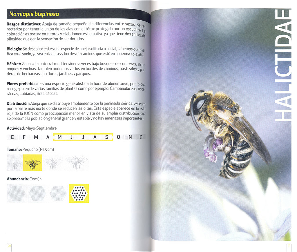 GUÍA DE CAMPO DE LAS ABEJAS DE ESPAÑA 4