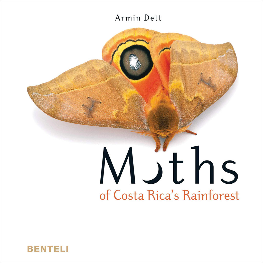 MOTHS OF COSTA RICA'S RAINFOREST 1
