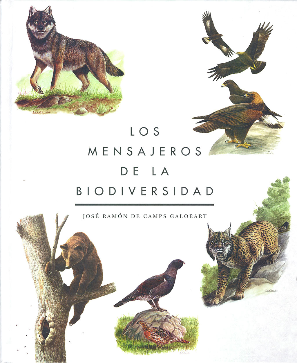 LOS MENSAJEROS DE LA BIODIVERSIDAD 1