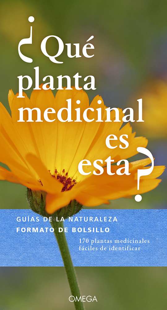¿QUÉ PLANTA MEDICINAL ES ESTA? 1