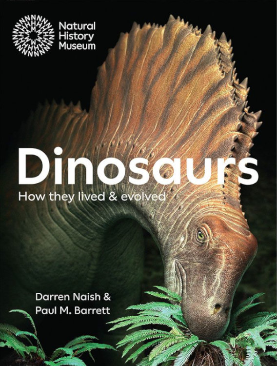 DINOSAURS HOW THEY LIVED AND EVOLVED 1