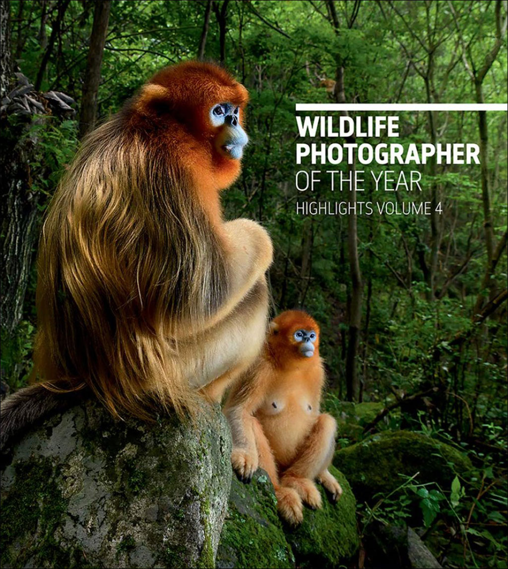 WILDLIFE PHOTOGRAPHER OF THE YEAR HIGHLIGHTS VOL. 4 1