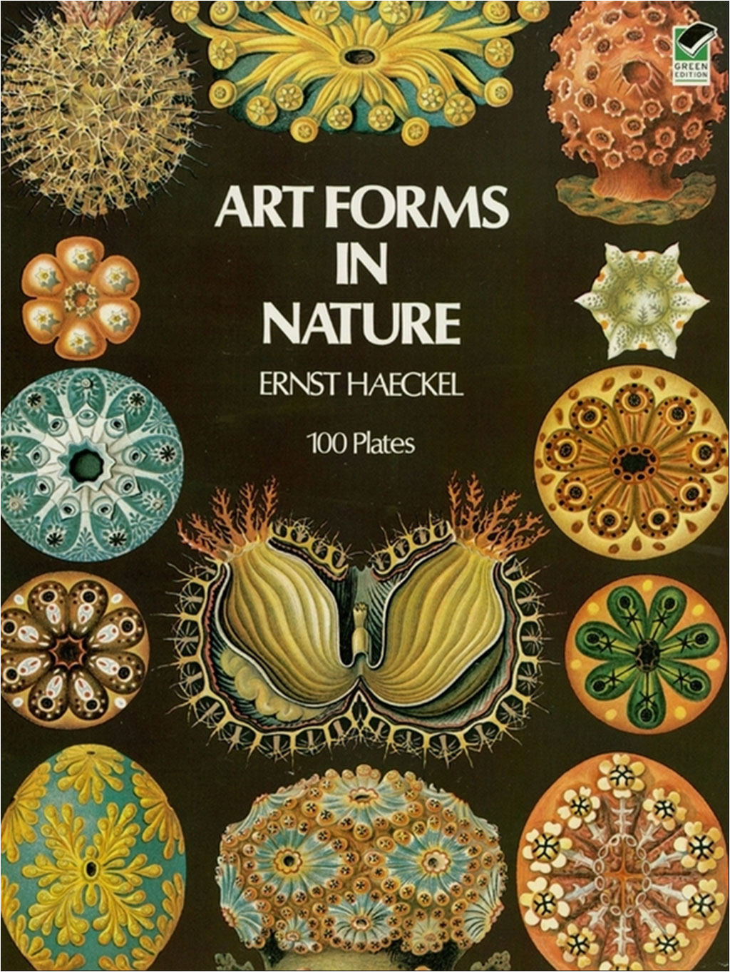 ART FORMS IN NATURE 1