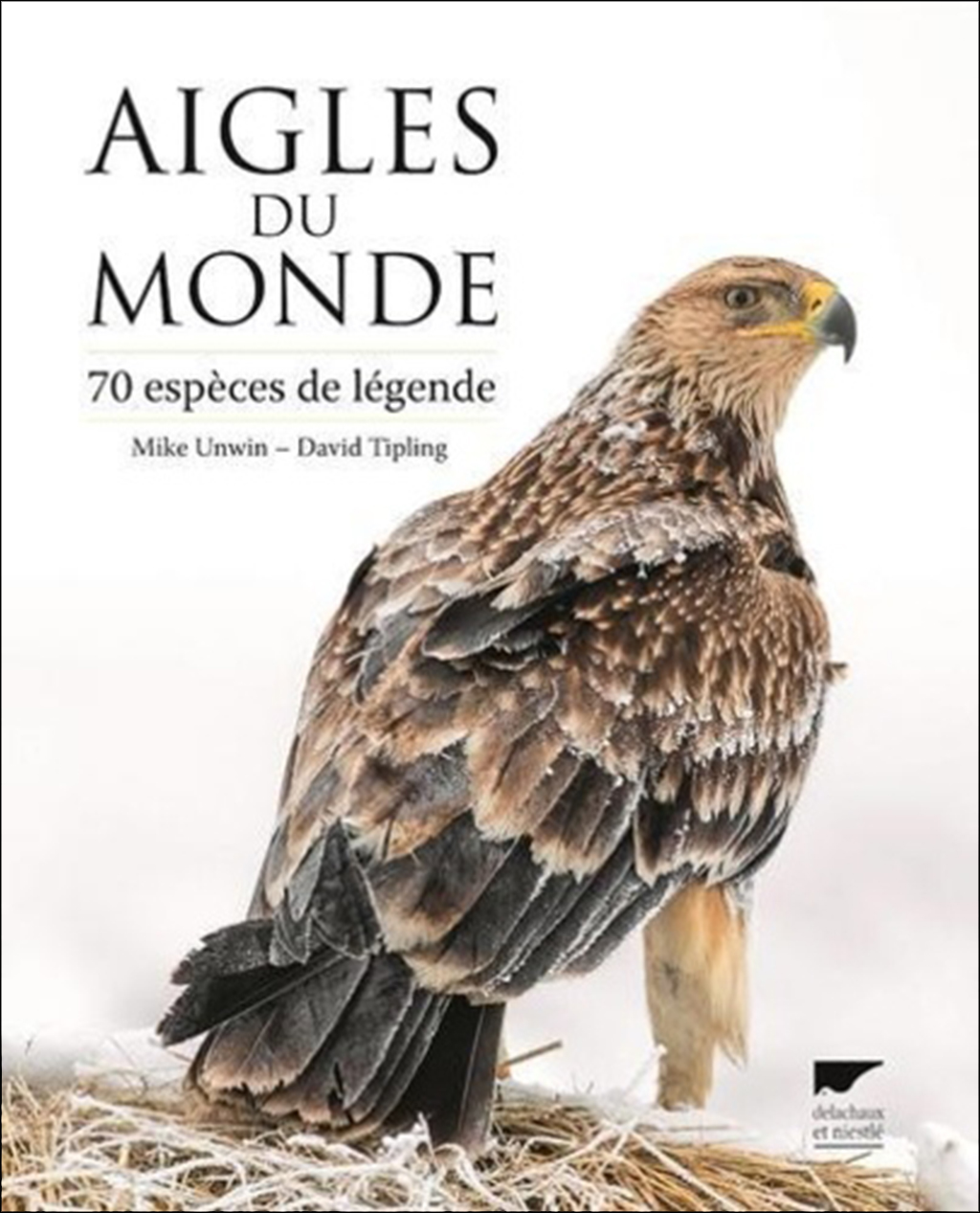 AIGLES DU MONDE 1