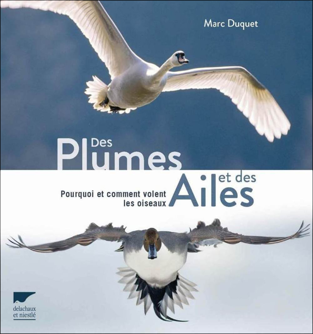 DES PLUMES ET DES AILES. POURQUOI ET COMMENT VOLENT LES OISEAUX 1