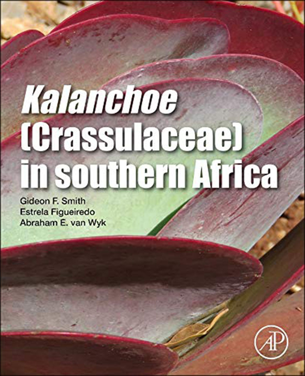KALANCHOE (CRASSULACEACE) IN SOUTHERN AFRICA 1
