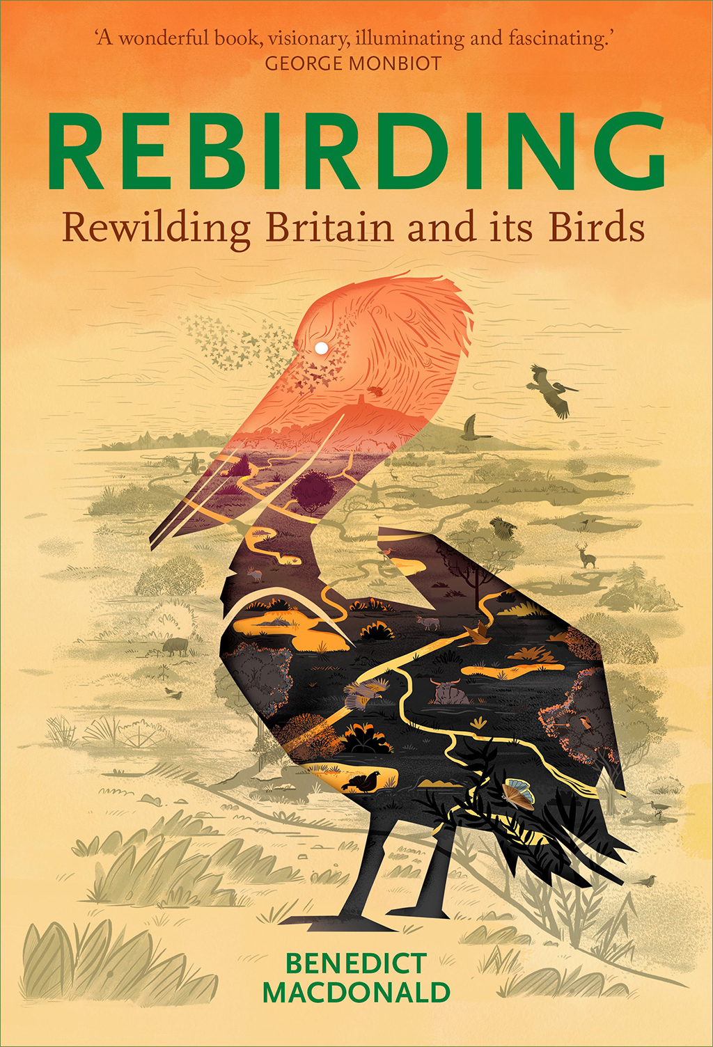 REBIRDING: RESTORING BRITAIN'S WILDLIFE 1