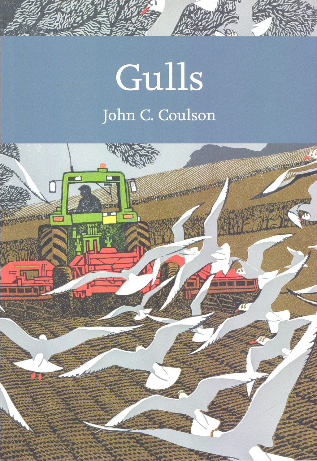 GULLS. THE NEW NATURALIST LIBRARY 1