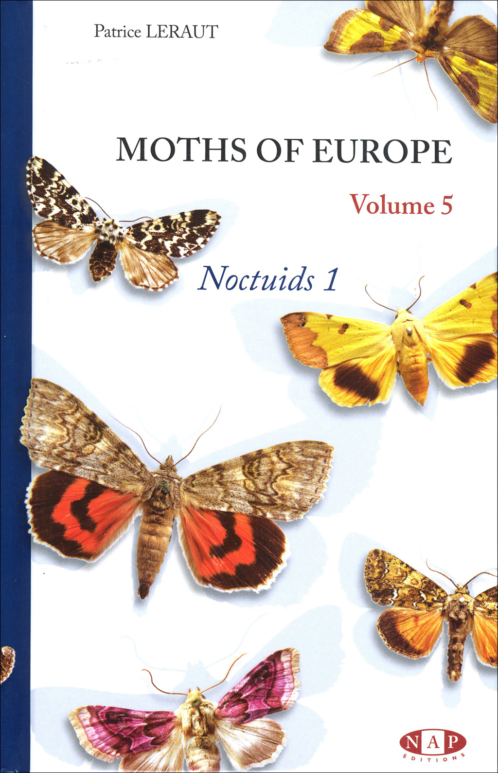 PAPILLONS DE NUIT D'EUROPE VOLUME 5, NOCTUELLES 1 1