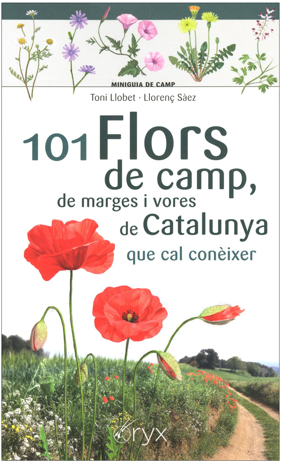 101 FLORS DE CAMP, DE MARGES I VORES DE CATALUNYA QUE CAL CONÈIXER. MINIGUIA DE CAMP 1