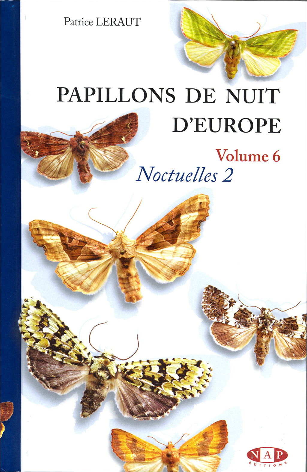 PAPILLONS DE NUIT D'EUROPE VOLUME 6, NOCTUELLES 2 1