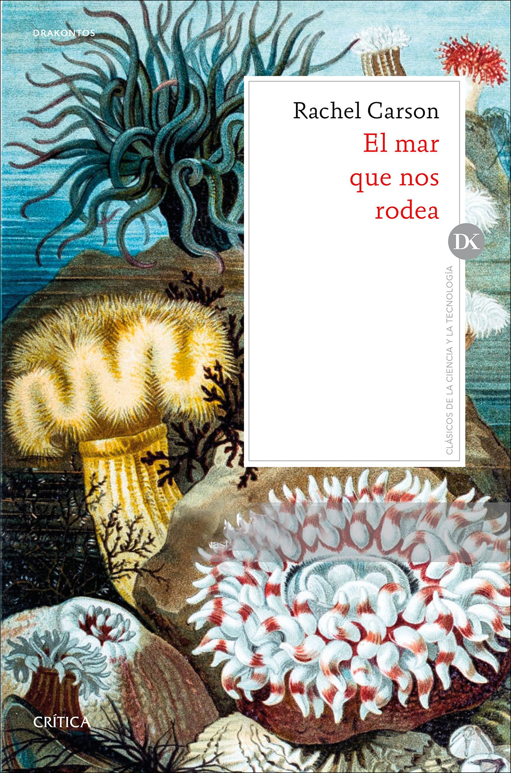 EL MAR QUE NOS RODEA 1