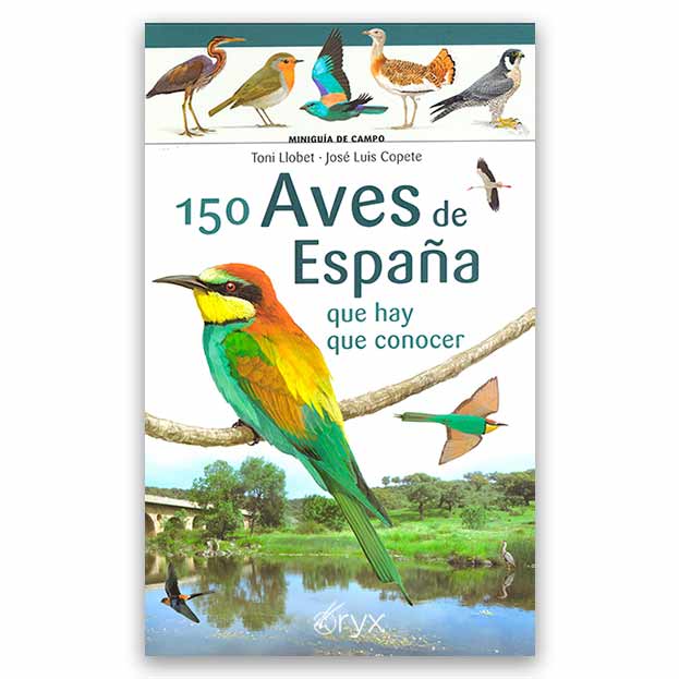 150 AVES DE ESPAÑA QUE HAY QUE CONOCER. MINIGUÍA DE CAMPO 1