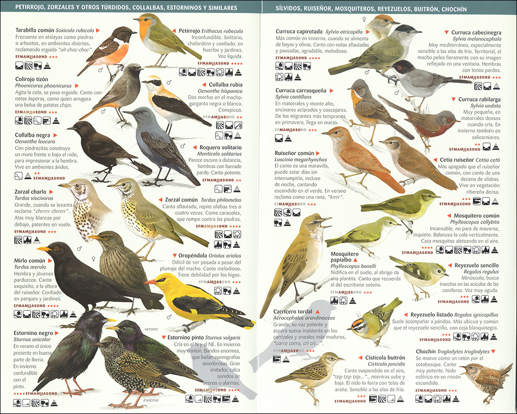 150 AVES DE ESPAÑA QUE HAY QUE CONOCER. MINIGUÍA DE CAMPO 3