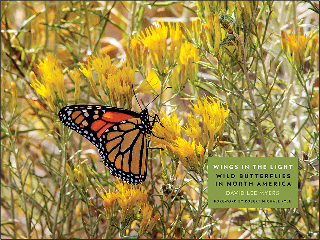 WINGS IN THE LIGHT. WILD BUTTERFLIES IN NORTH AMERICA 1