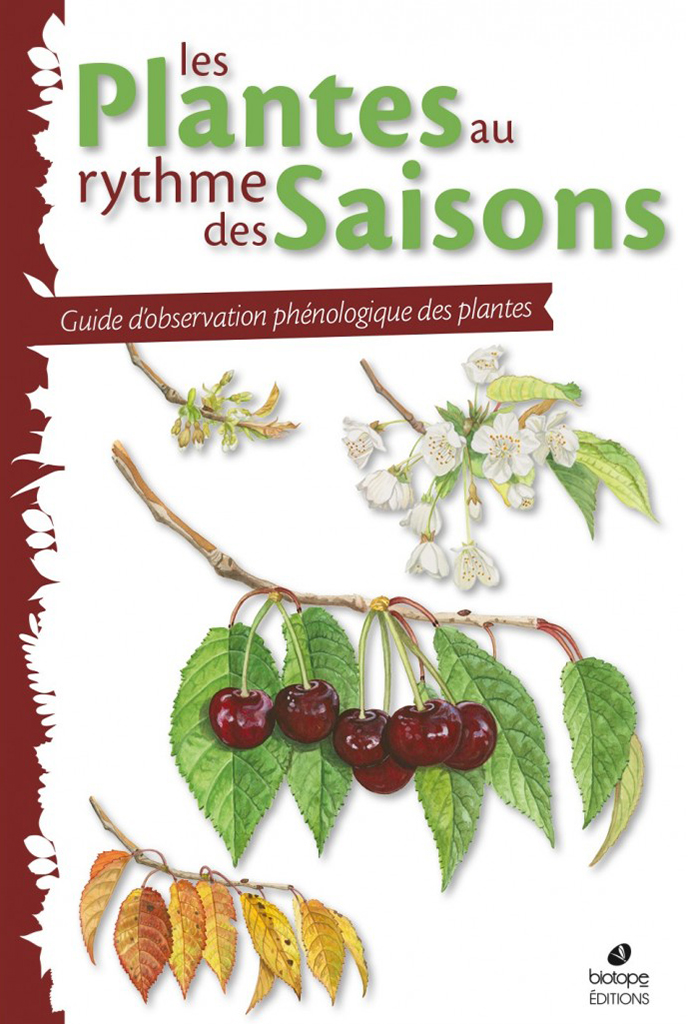 LES PLANTES AU RYTHME DES SAISONS 1