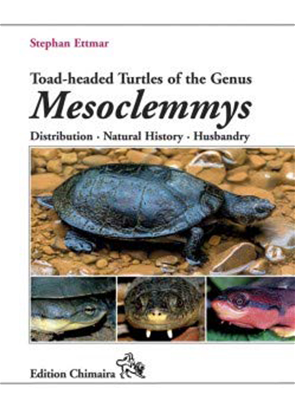 TOAD-HEADED TURTLES OF THE GENUS MESOCLEMMYS. DISTRIBUTION, NATURAL HISTORY, HUSBANDRY 1