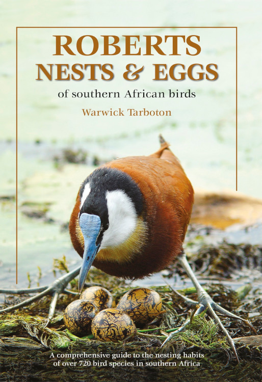 ROBERTS NESTS &AMP; EGGS OF SOUTHERN AFRICA BIRDS 1