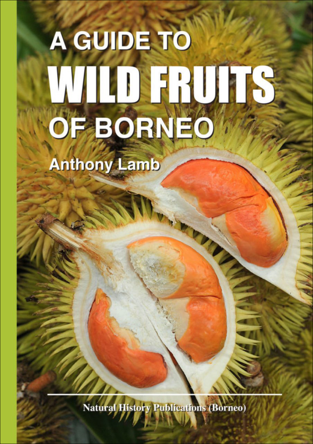 A GUIDE TO WILD FRUITS OF BORNEO 1