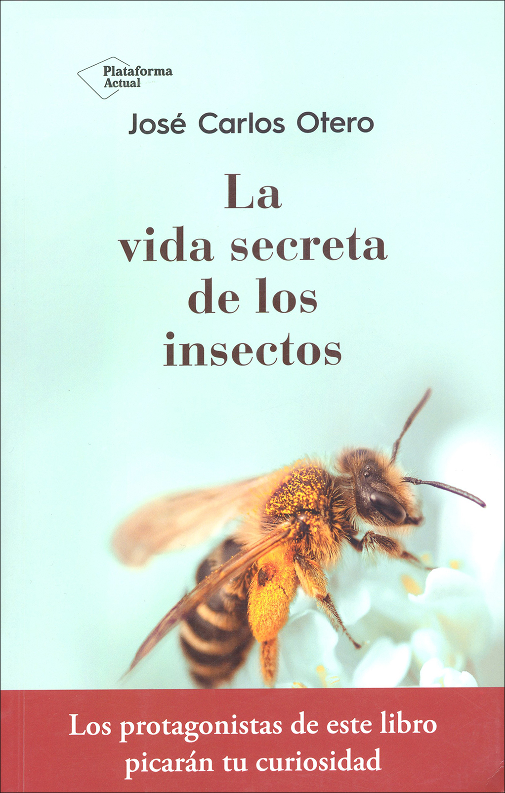 LA VIDA SECRETA DE LOS INSECTOS 1