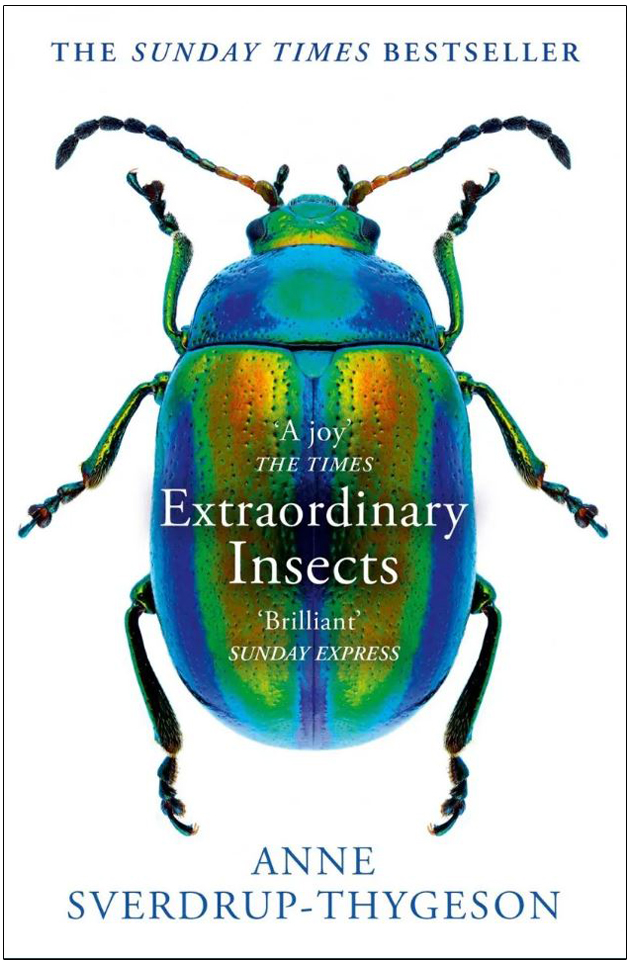 EXTRAORDINARY INSECTS 1