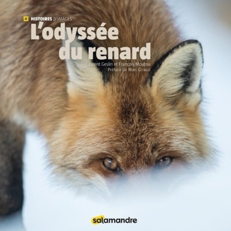 L'ODYSSÉE DU RENARD. COLLECTION HISTOIRES D'IMAGES 1