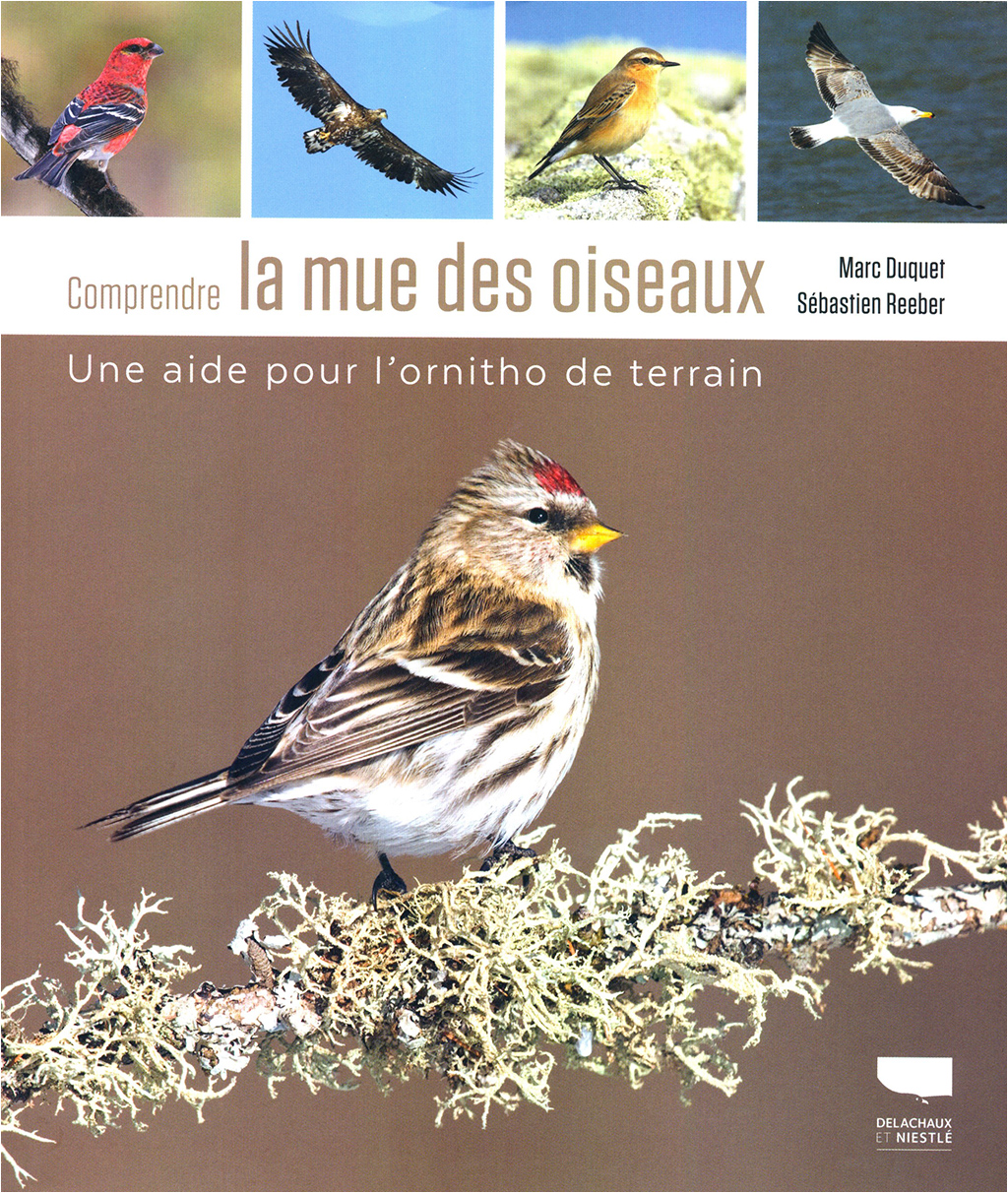 COMPRENDRE LA MUE DES OISEAUX - UNA AIDE POUR L'ORNITHO DE TERRAIN 1