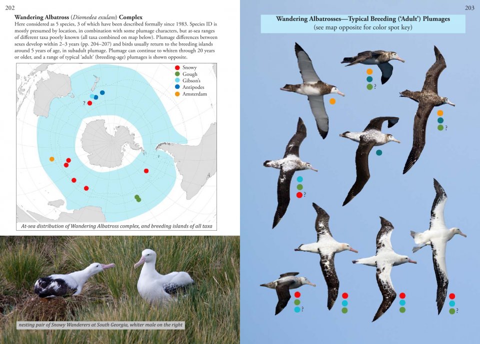 OCEANIC BIRDS OF THE WORLD 3