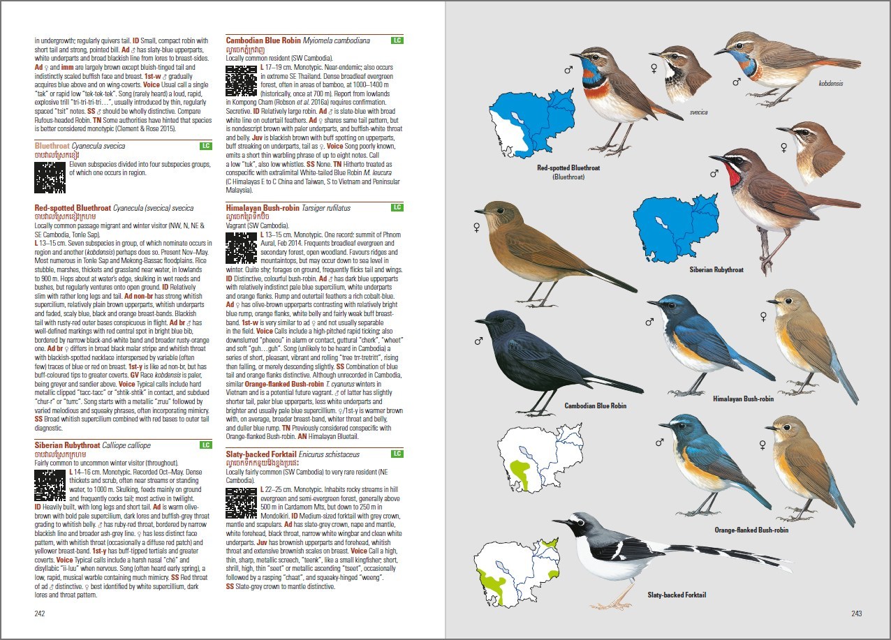 BIRDS OF CAMBODIA 2