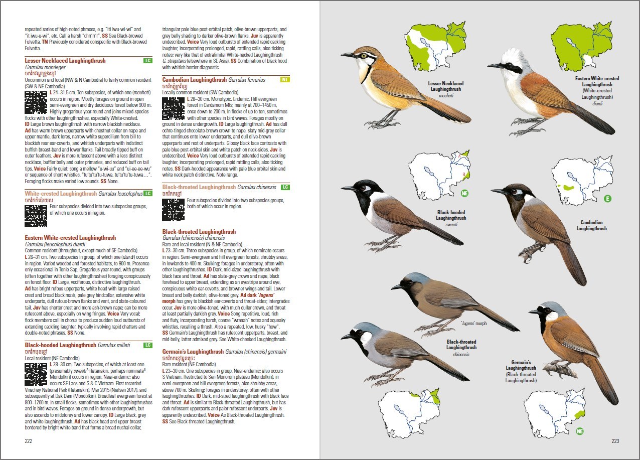 BIRDS OF CAMBODIA 3