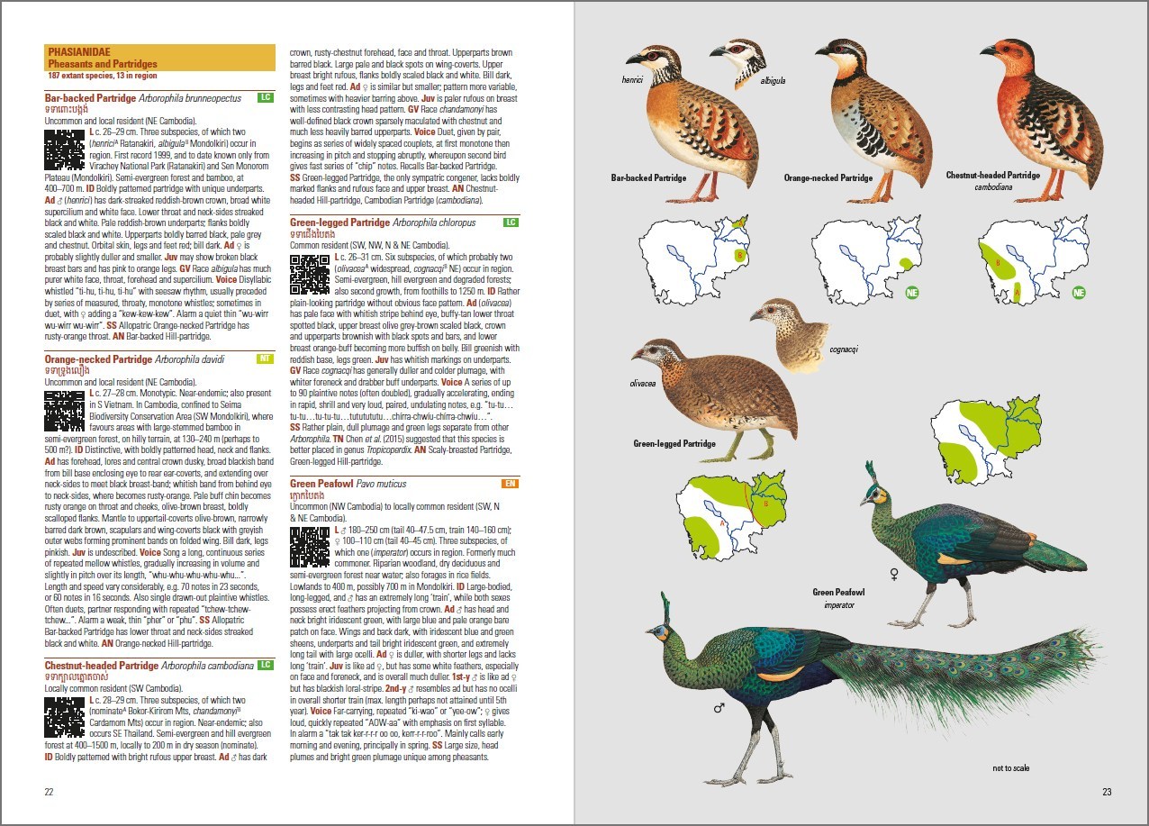 BIRDS OF CAMBODIA 5
