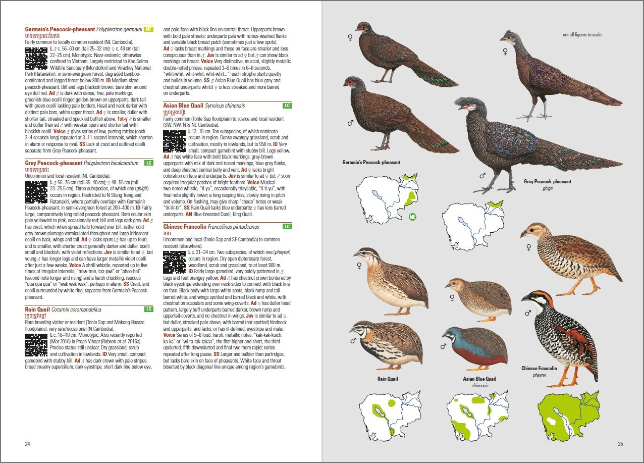 BIRDS OF CAMBODIA 6