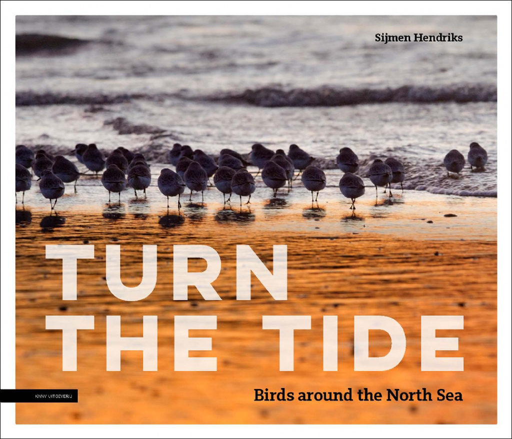 TURN THE TIDE: BIRDS AROUND THE NORTH SEA 1